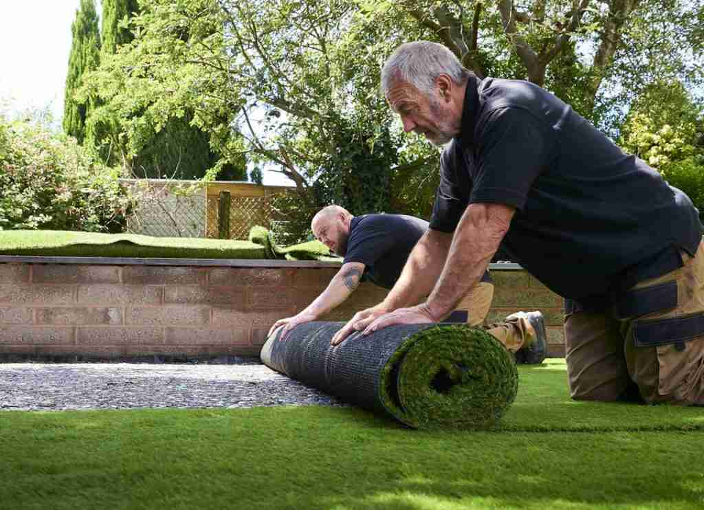 portland-tree-trimming-services-portland-landscape-pros