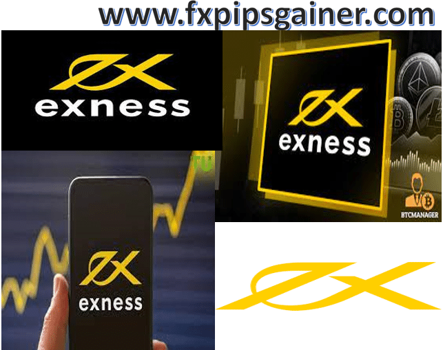 Discover the Potential of the Live Exness Platform 0