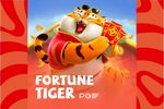 Baixe e instale o aplicativo Ton Of Money Tiger