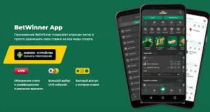Ultimate Guide to BetWinner Login
